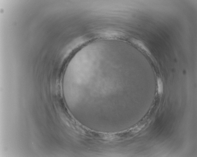 X0000061140579200512091936