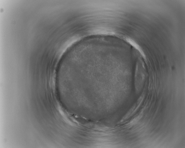 X0000061140580200512091936