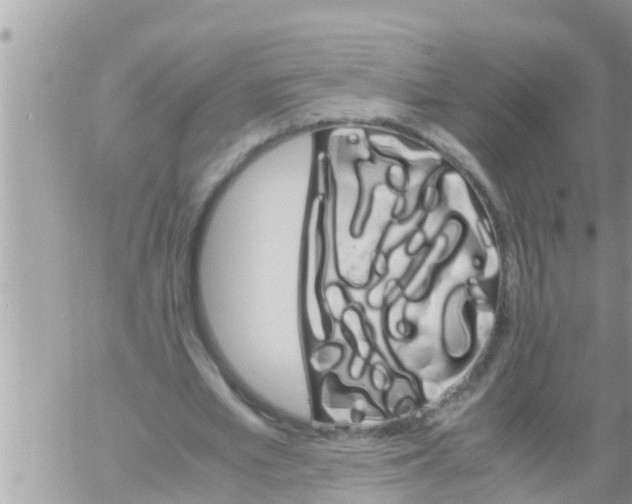 X0000061140581200512091936