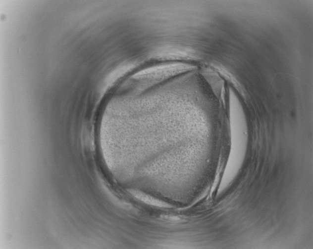 X0000061140582200512091936