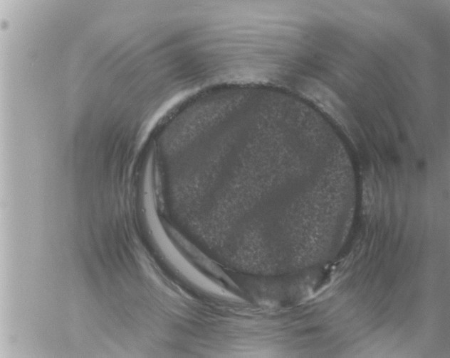 X0000061140584200512091936