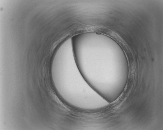 X0000061140585200512091936