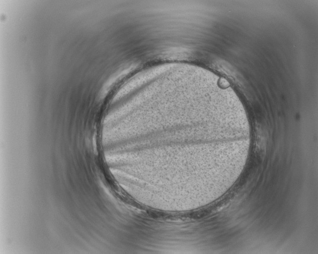 X0000061140586200512091936