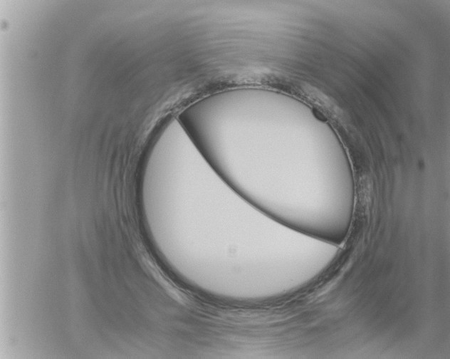 X0000061140589200512091936