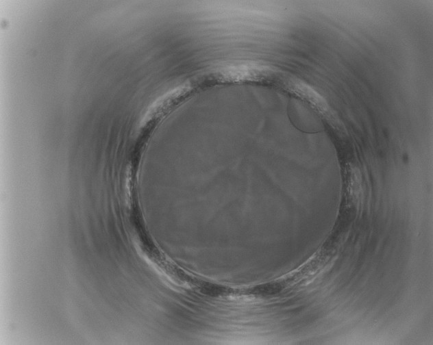 X0000061140590200512091936