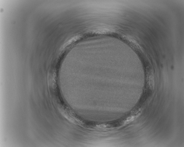 X0000061140591200512091936