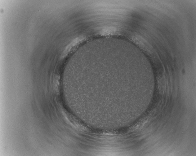 X0000061140592200512091936