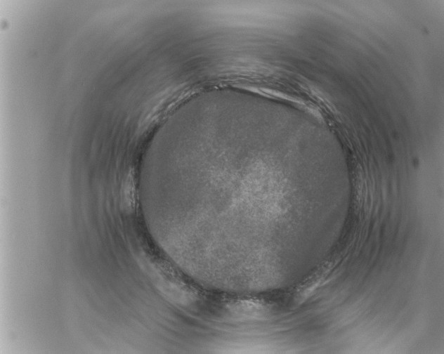 X0000061140594200512091936