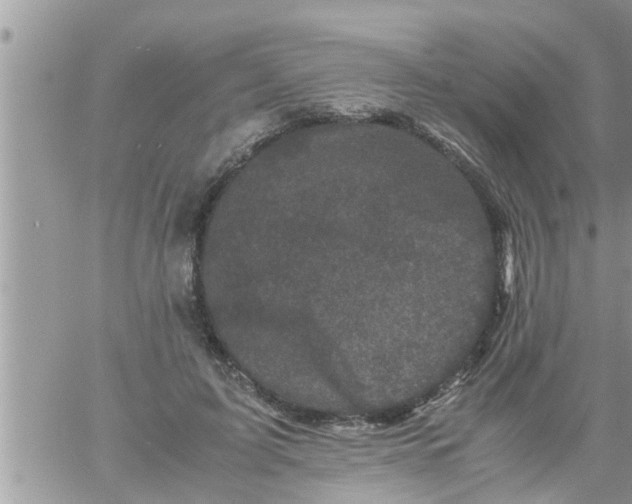 X0000061140595200512091936