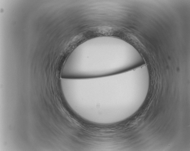 X0000061140597200512091936