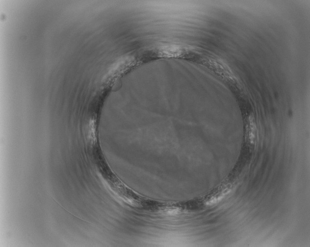 X0000061140598200512091936