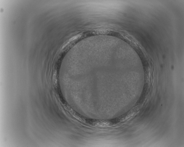 X0000061140599200512091936