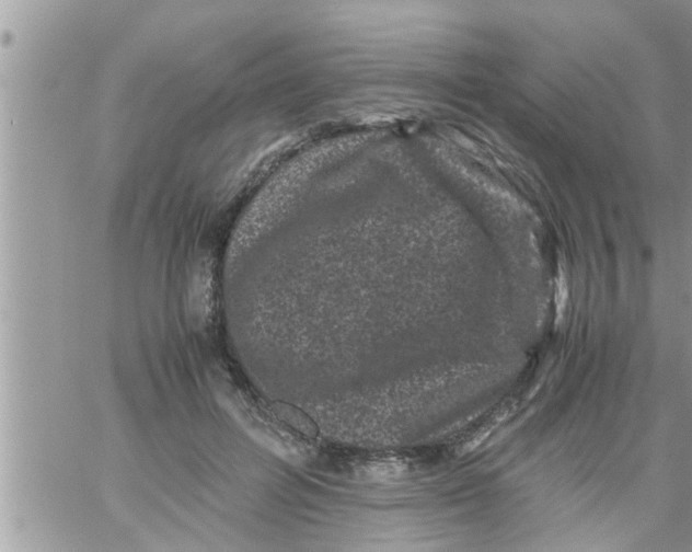 X0000061140600200512091936