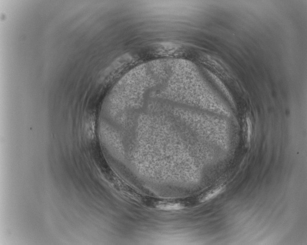 X0000061140602200512091935