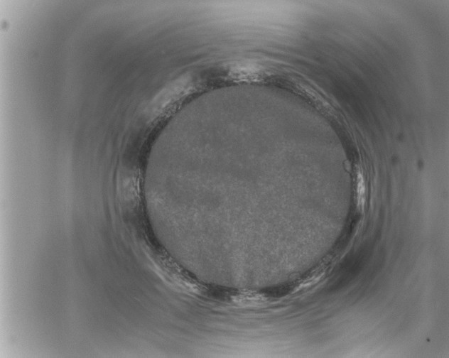 X0000061140603200512091935