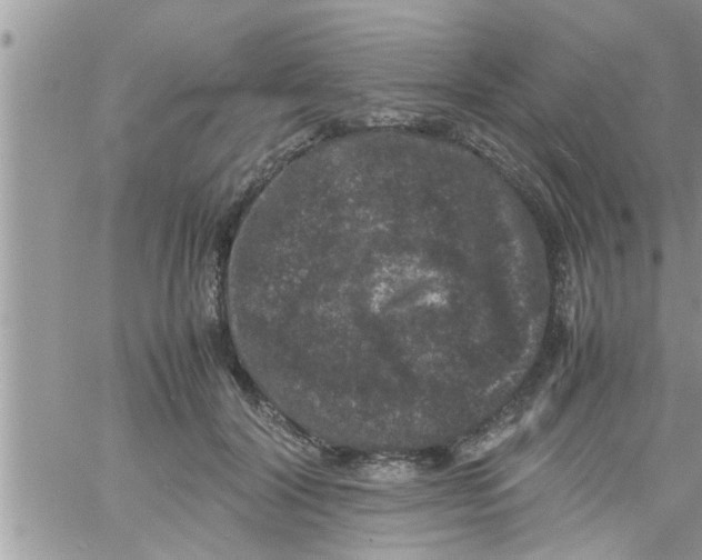 X0000061140604200512091935