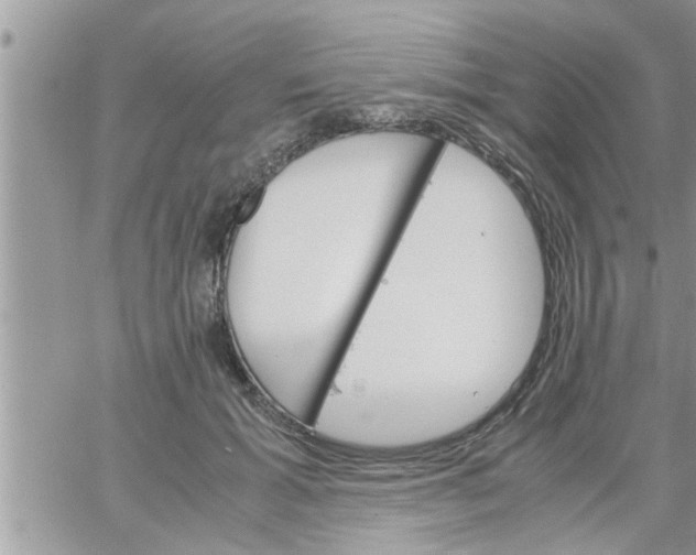 X0000061140605200512091935