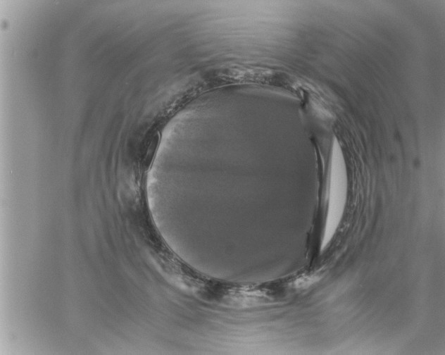 X0000061140607200512091935