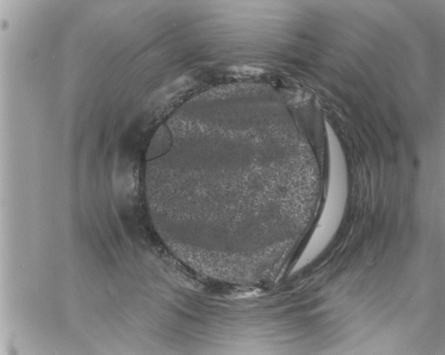 X0000061140608200512091935