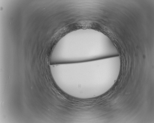 X0000061140609200512091935