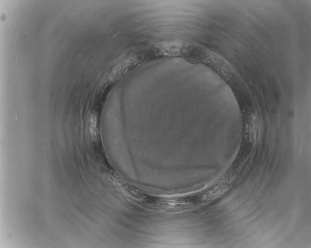 X0000061140610200512091935