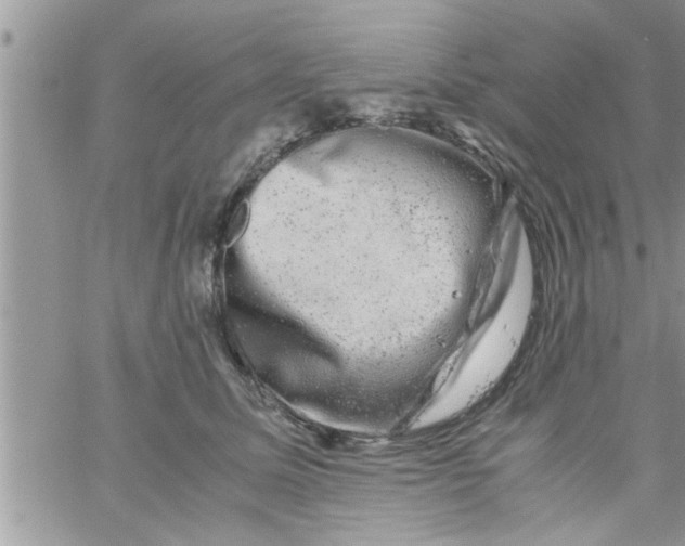 X0000061140611200512091935