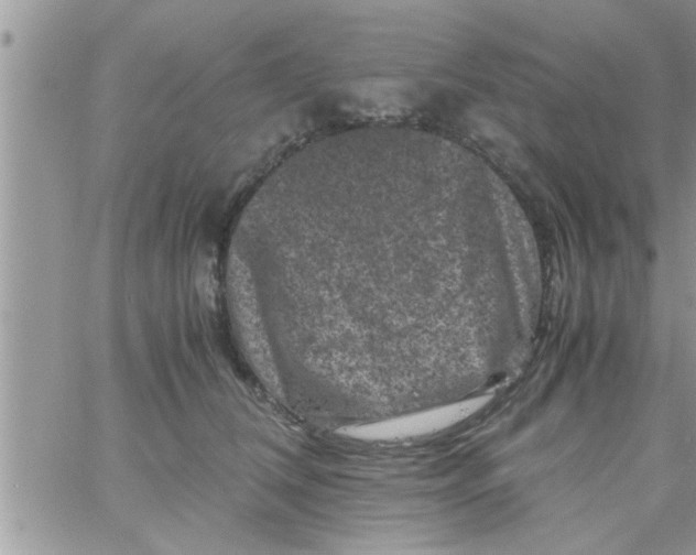 X0000061140612200512091935