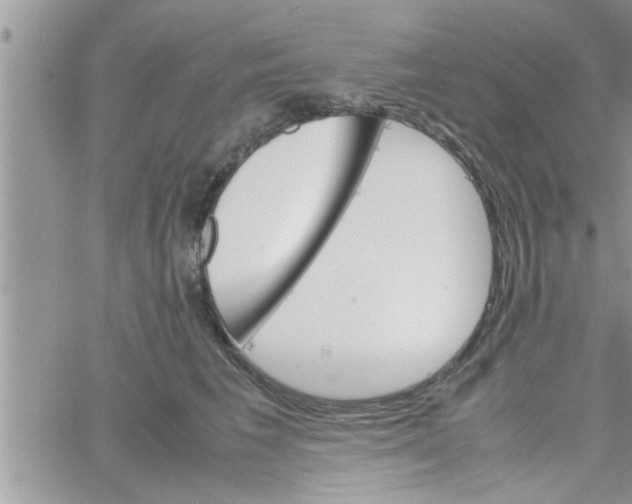 X0000061140613200512091935