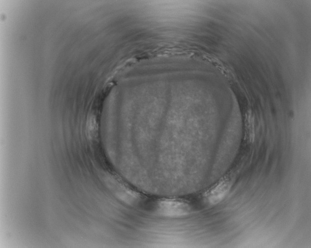 X0000061140614200512091935