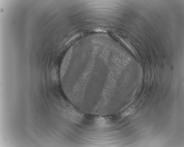 X0000061140616200512091935