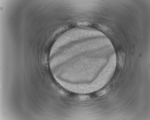 X0000061140619200512091935