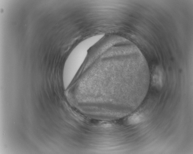 X0000061140620200512091935