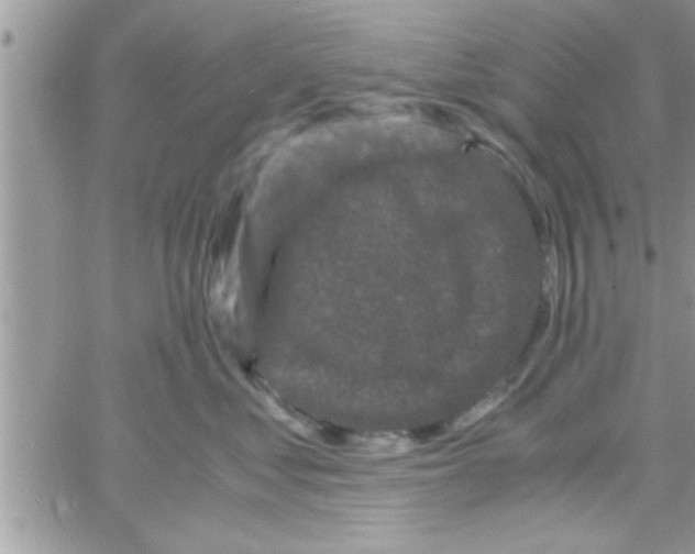 X0000061140621200512091935