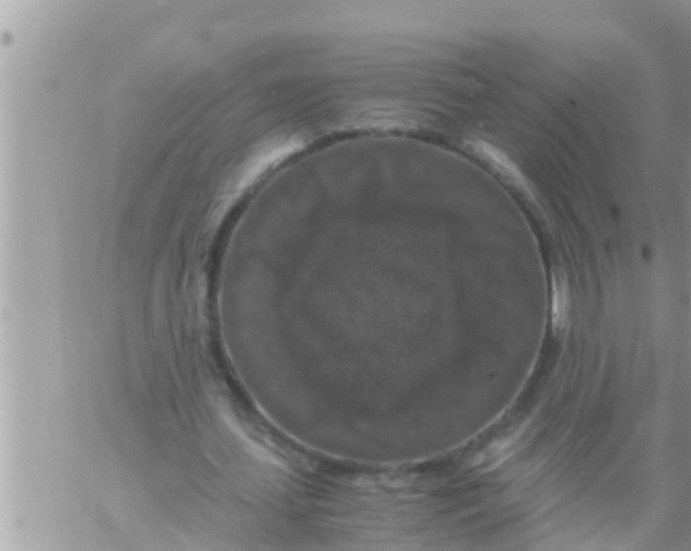 X0000061140627200512091934