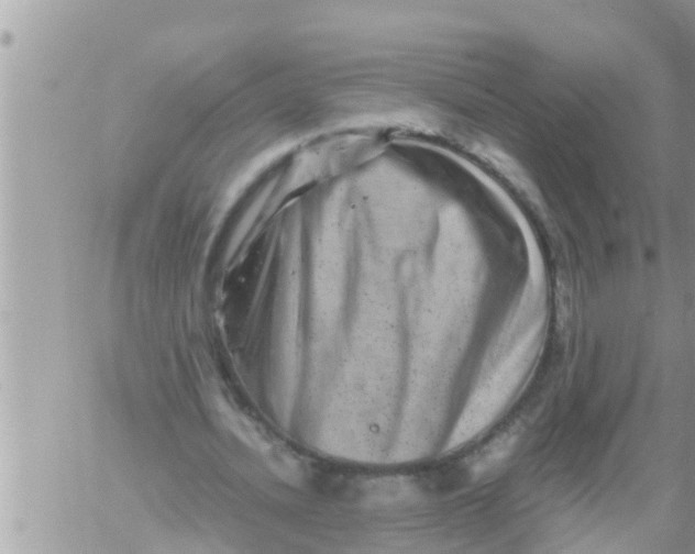 X0000061140628200512091934