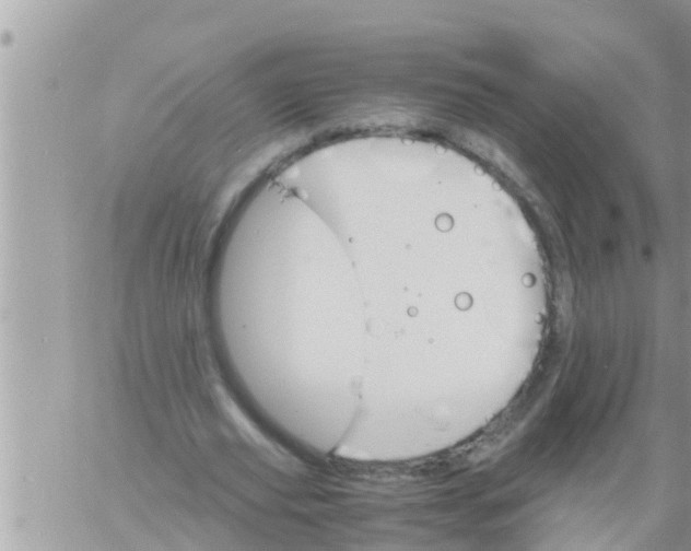 X0000061140629200512091934