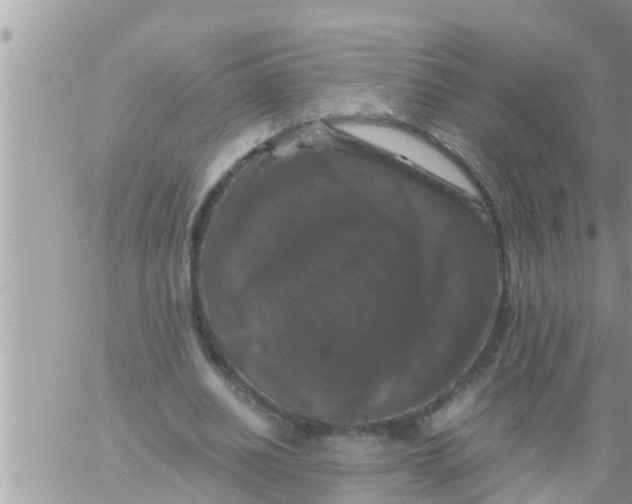 X0000061140630200512091934