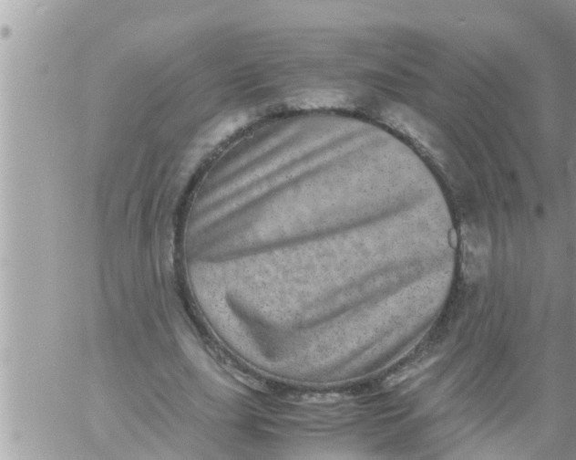 X0000061140631200512091934