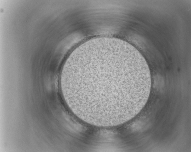 X0000061140632200512091934