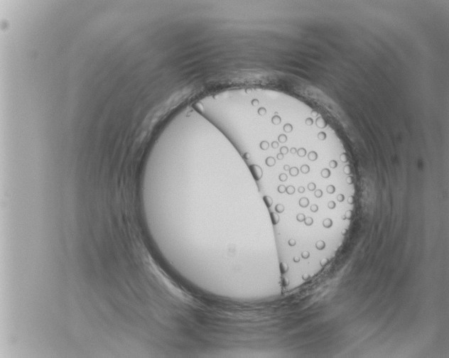 X0000061140633200512091934