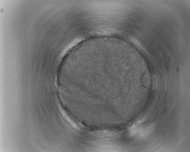 X0000061140634200512091934