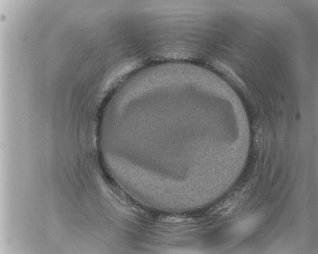 X0000061140635200512091934