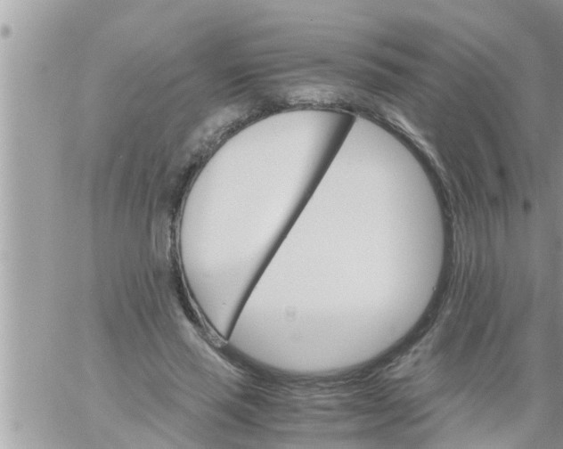 X0000061140637200512091935