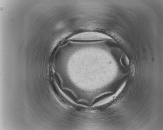 X0000061140638200512091935