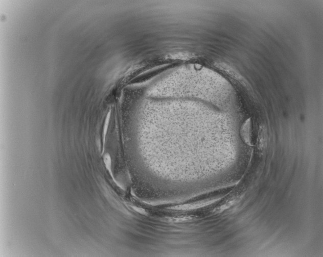 X0000061140639200512091935