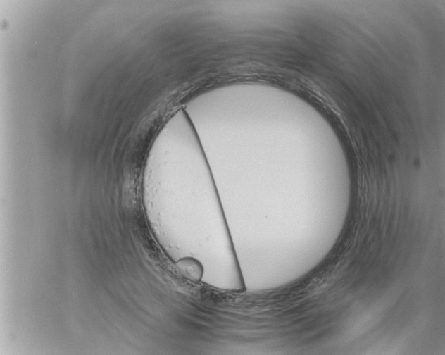 X0000061140641200512091935