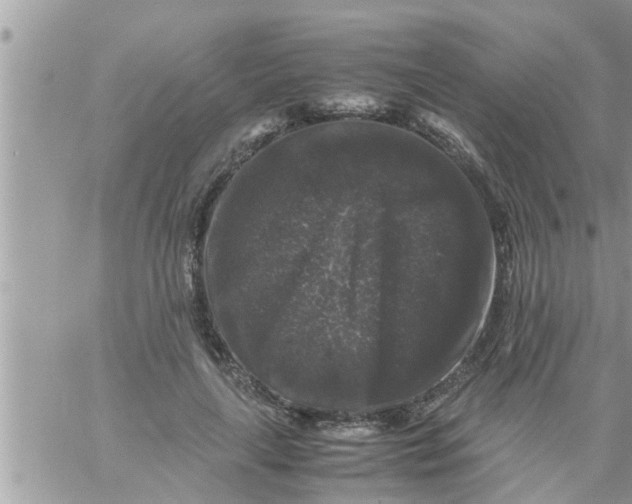 X0000061140643200512091935