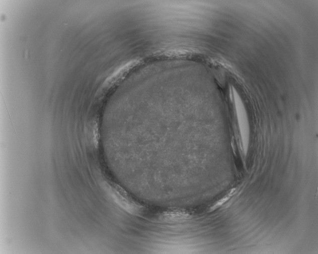 X0000061140644200512091935