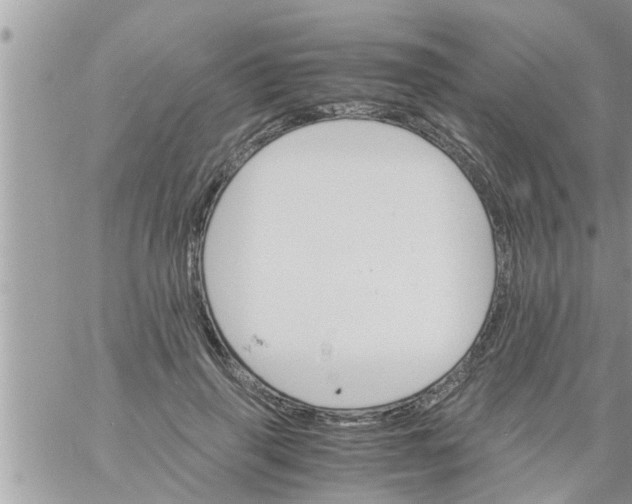 X0000061140645200512091935