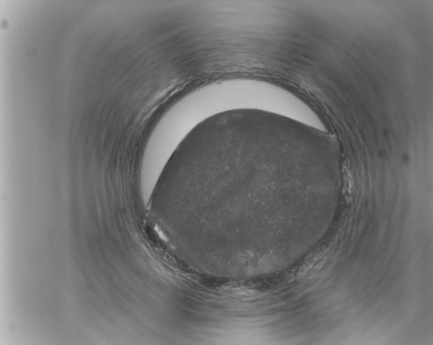 X0000061140648200512091935